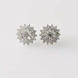 10.76ct Diamond Earrings
