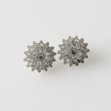 10.76ct Diamond Earrings