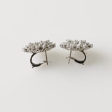 10.76ct Diamond Earrings