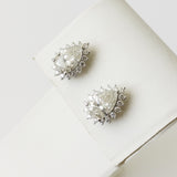 2.69ct Diamond Earrings