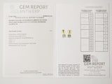 0.62ct Diamond Earrings