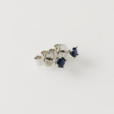 0.62ct Sapphire Earrings
