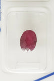 Ruby 2.09ct ALGT Certified