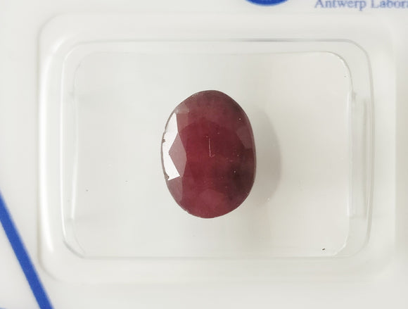 Ruby 3.55ct ALGT Certified