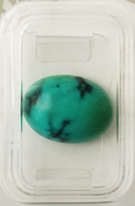 Turquoise 6.69ct AIG Certified