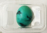 Turquoise 6.69ct AIG Certified