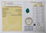 Turquoise 6.69ct AIG Certified