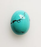 Turquoise 9.90ct AIG Certified