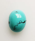 Turquoise 9.90ct AIG Certified