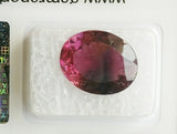 Rubellite 6.18ct GRA Certified