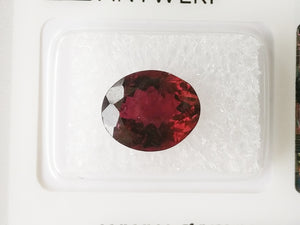 Rubellite 3.35ct GRA Certified