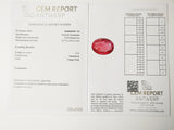 Tourmaline 4.10ct GRA Certified