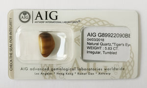 Tiger's Eye 5.83ct AIG Certified